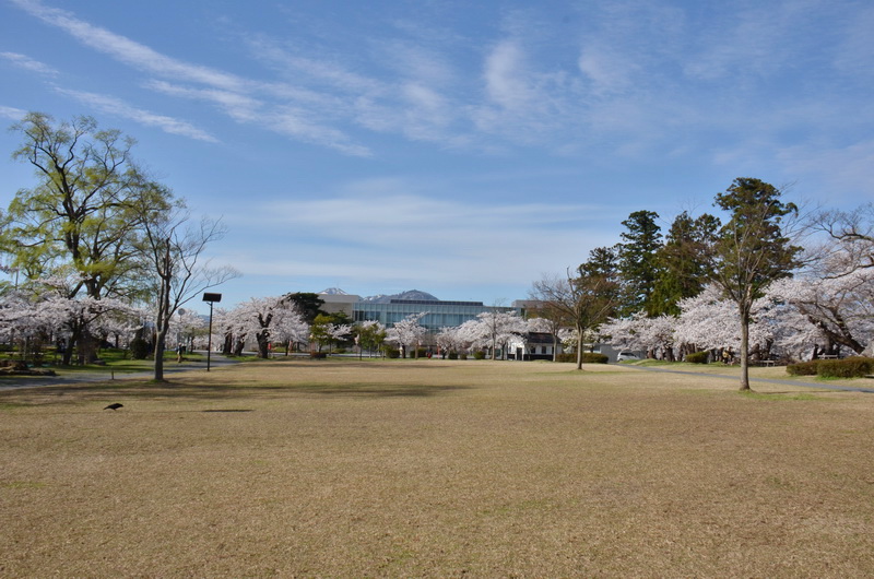 朝の早い時間だとまだ人影はありません