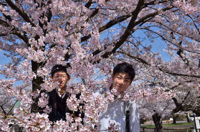 満開の桜の中・・・