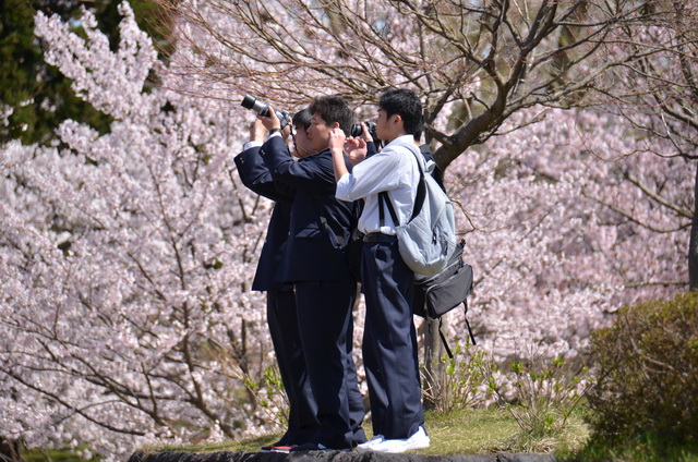 １年生は初めての経験です