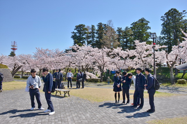 よい写真が撮れましたか？