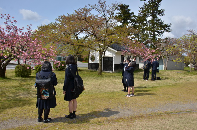 桜は散りましたが、撮影に取りかかりましょう