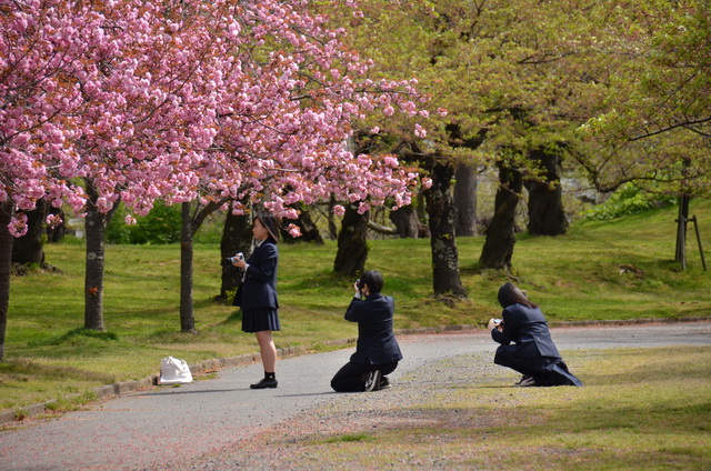 いい写真が撮れましたか