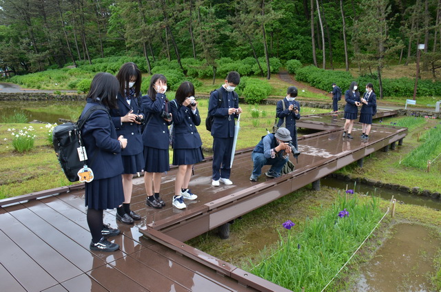 菖蒲の雫を狙ってみよう！