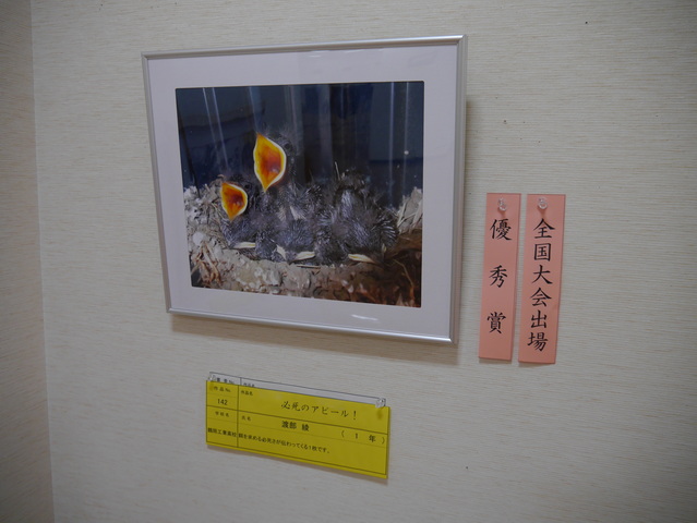 優秀賞　「必死のアピール！」　渡部　綾（１Ｋ）