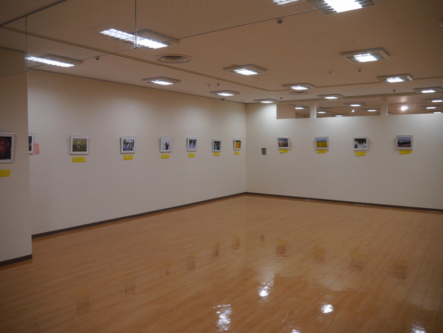 作品展示