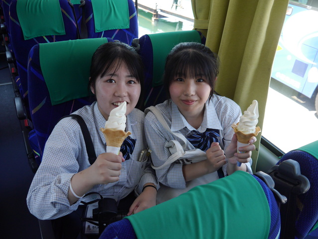 オリーブソフトでクールダウン