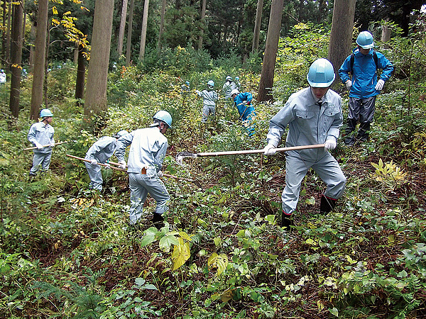 野外実習