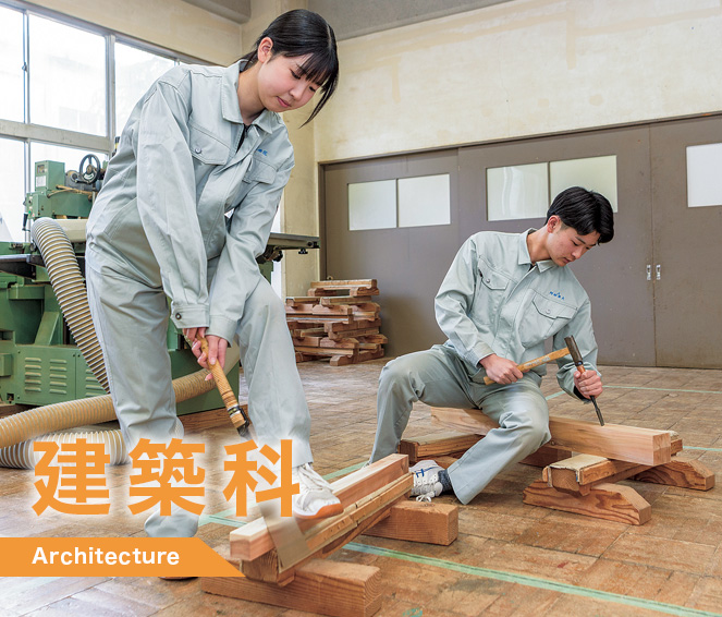 建築科